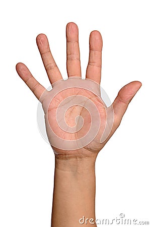 open-hand-thumb17041261.jpg
