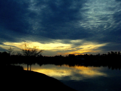 2223003341_0823506d53.jpg