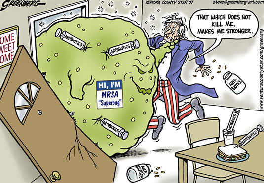 superbug.jpg