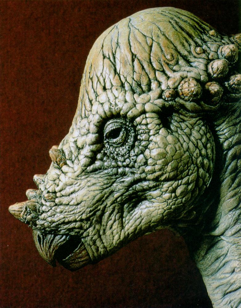 Pachycephalosaurus_J01-Dinosaur-Face.jpg