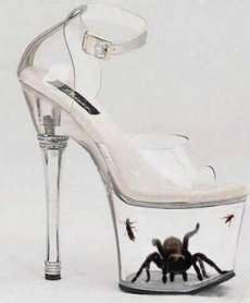 Tarantula-shoes-womens-shoes-6914577-230-278.jpg