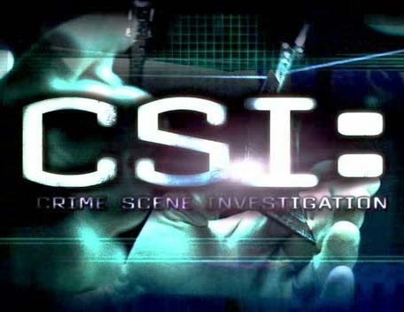 CSI-logo-all-csis-3227233-456-352.jpg