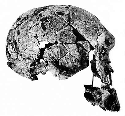1470.jpg