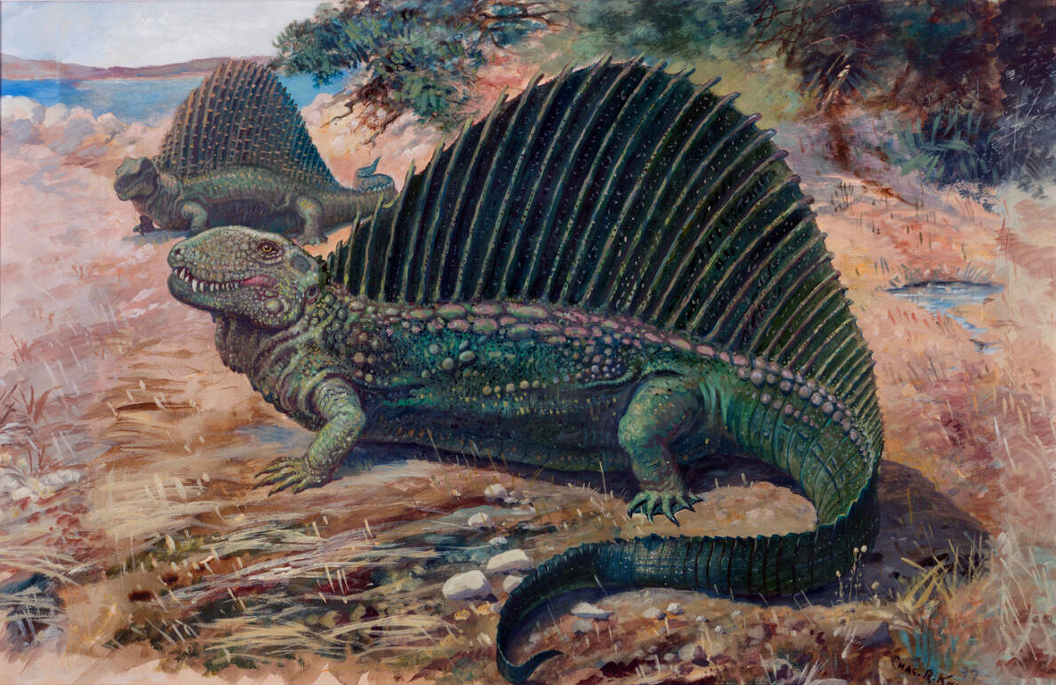 DimetrodonKnight.jpg