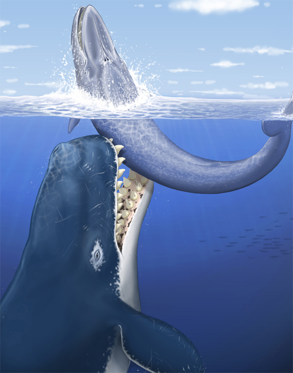 Leviathan.jpg