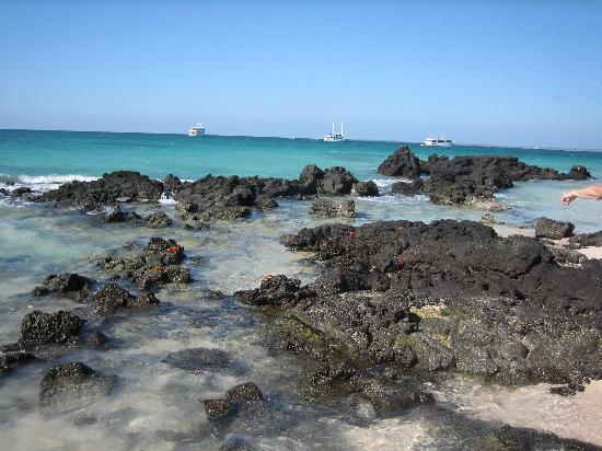 galapagos-islands.jpg