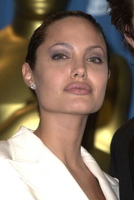 angelina_jolie-pride.jpg