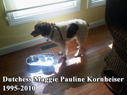 rip_maggie.jpg