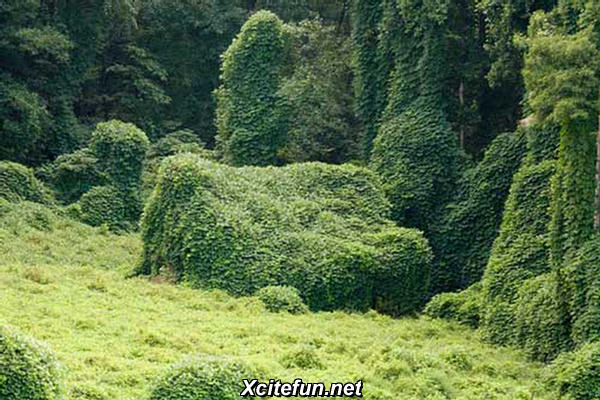 246819,xcitefun-beautiful-village-1.jpg