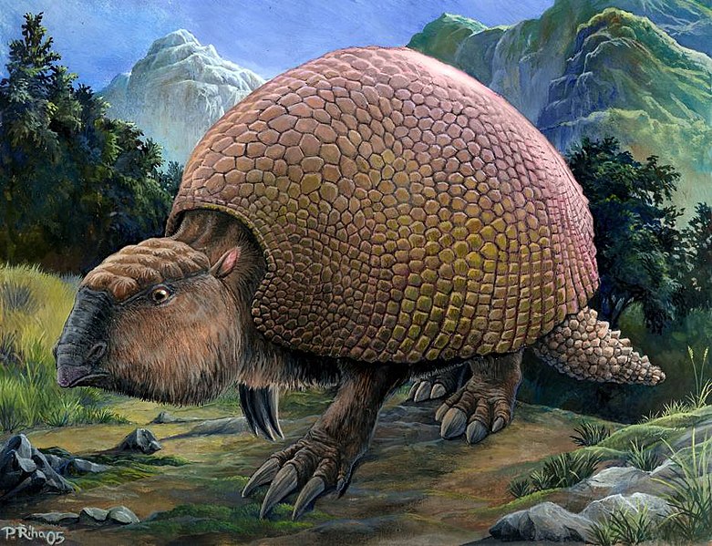 781px-Glyptodon_%28Riha2000%29.jpg